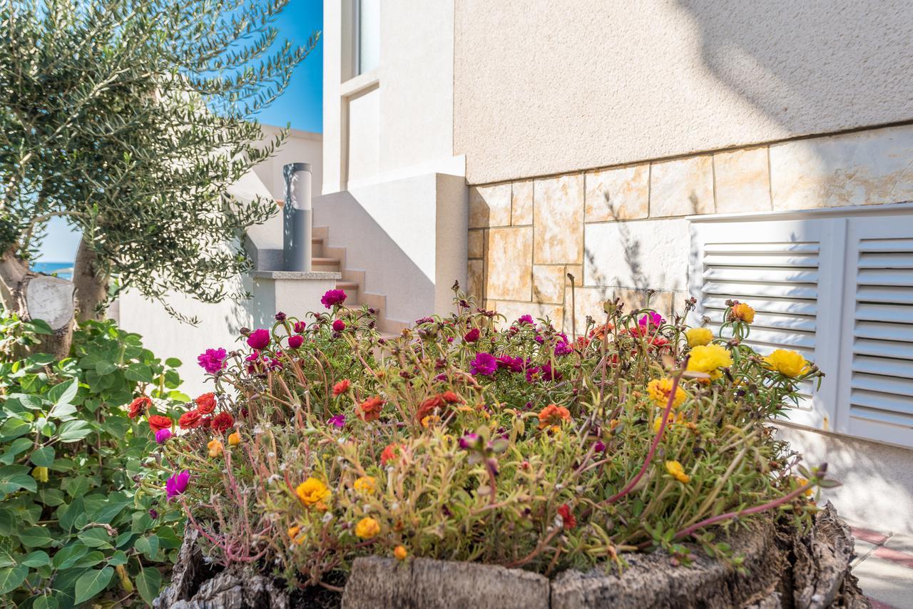 Villa Jurac Povljana Eksteriør bilde